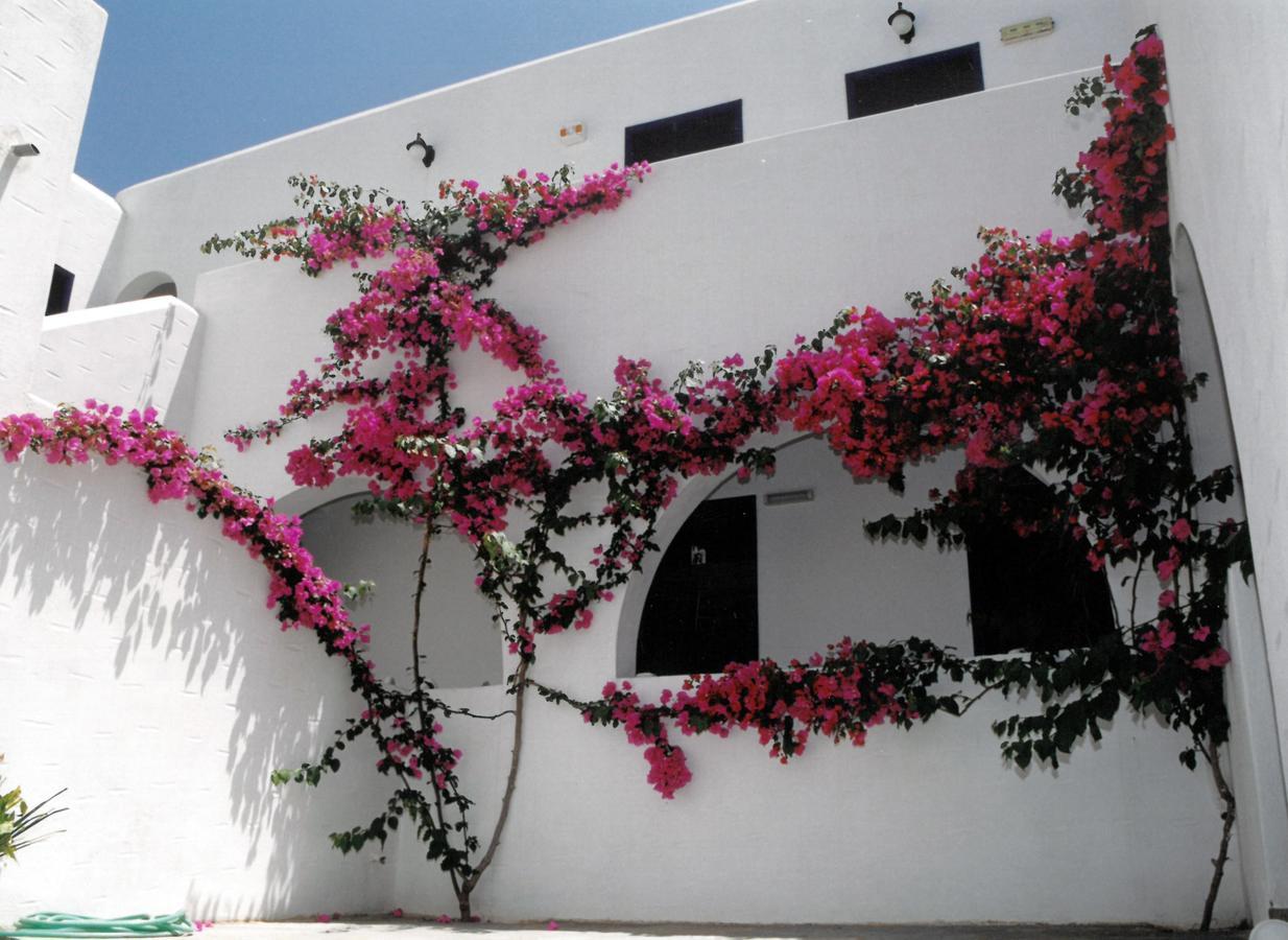 San Antonio Summer House Piso Livadi Esterno foto
